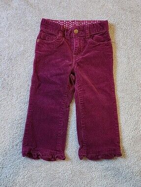 24mo The Childrens Place Pants